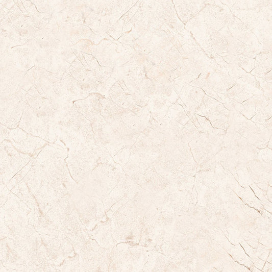 BEIGE MARFIL (2,5cm)